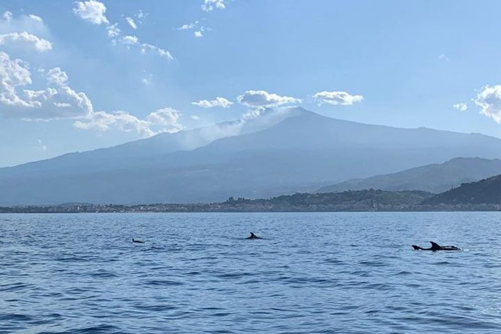 immersione-tour-delfini-taormina